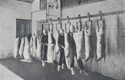 Mięso mrożone, 1923. autorstwa Unbekannt