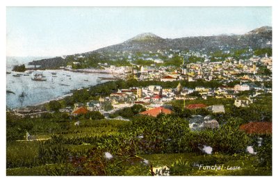 Funchal, Madera, początek XX wieku autorstwa Unbekannt