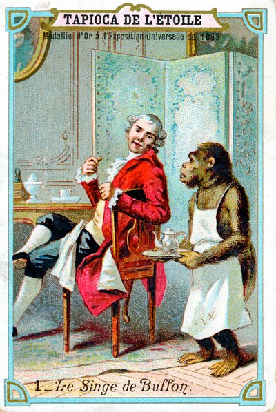 George-Louis Leclerc, hrabia de Buffon, francuski przyrodnik z XVIII wieku, ok. 1890 r. autorstwa Unbekannt