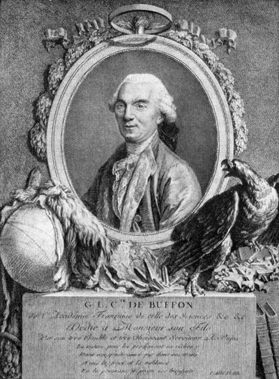 Georges-Louis Leclerc, hrabia de Buffon, francuski przyrodnik, XVIII wiek autorstwa Unbekannt