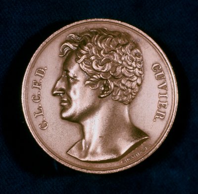 Georges Leopold Chretien Frederic Dagobert, Baron Cuvier, francuski anatom, XIX w. autorstwa Unbekannt