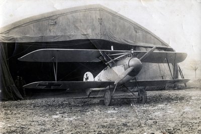 Niemiecki Albatros DV, Souilly, Francja, 2 stycznia 1918 autorstwa Unbekannt
