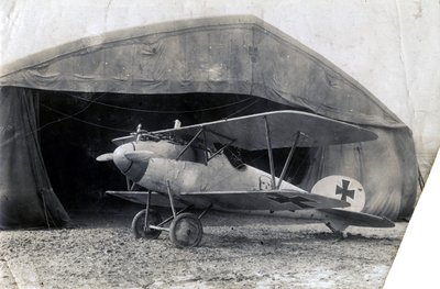 Niemiecki Albatros DV, Souilly, Francja, 2 stycznia 1918 autorstwa Unbekannt