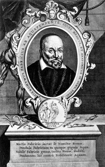 Girolamo Fabrici, włoski anatom i chirurg, XVII wiek autorstwa Unbekannt