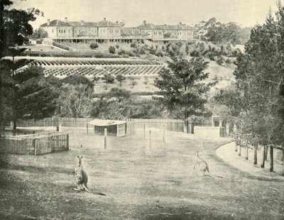 Gladesville Azyl dla Obłąkanych, Nowa Południowa Walia, 1901. autorstwa Unbekannt