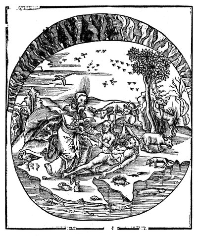 Bóg tworzący Ewę z żebra Adamsa, 1508 autorstwa Unbekannt