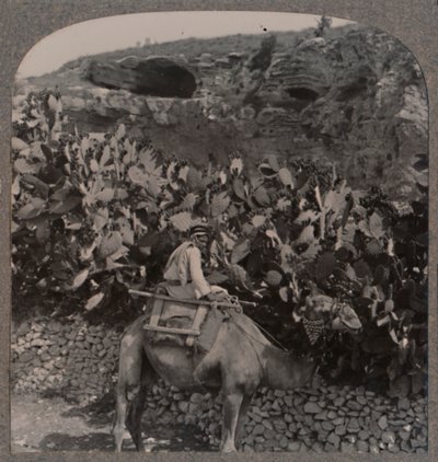 Golgota Miejsce Czaszki, ok. 1900 autorstwa Unbekannt