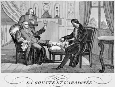 Dna moczanowa i pająk, c1835 autorstwa Unbekannt