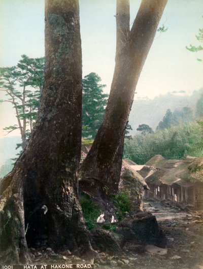 Hata przy Hakone Road, Japonia, początek XX wieku autorstwa Unbekannt
