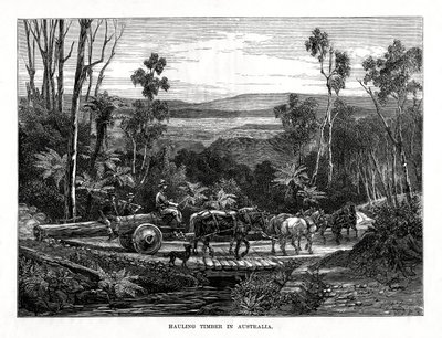Transport drewna, Australia, 1877 r. autorstwa Unbekannt