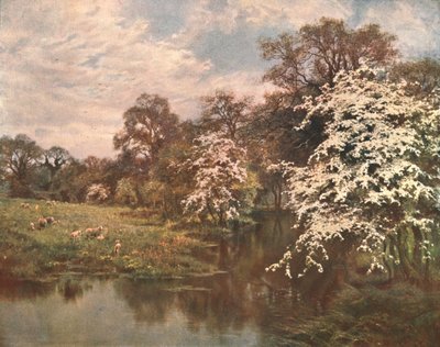 Kwiaty głogu, ok. 1899, ok. 1902. autorstwa Unbekannt