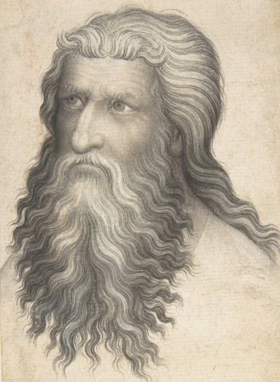 Głowa brodatego mężczyzny, 1360-80. autorstwa Unbekannt