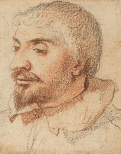 Głowa mężczyzny, ok. 1600. autorstwa Unbekannt