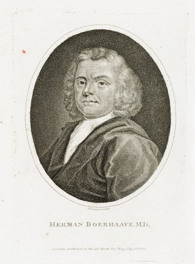Herman Boerhaave, holenderski lekarz, chemik i botanik, początek XVIII wieku autorstwa Unbekannt