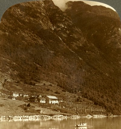 Farma Hogrending, położona u podnóża gór, na wsch. brzegu jeziora Loen, Norwegia, ok. 1905 r. autorstwa Unbekannt