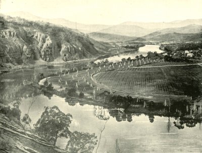 Ogrody chmielowe na Tasmanii, 1901. autorstwa Unbekannt