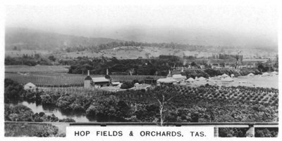 Pola i sady chmielowe, Tasmania, Australia, 1928 autorstwa Unbekannt