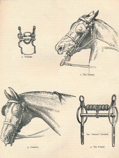 Wędzidła koni, dobre i złe, c1909 c1910 autorstwa Unbekannt