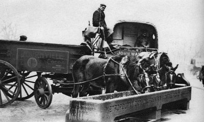 Konie pijące z koryta dla bydła, Londyn, 1926-1927 autorstwa Unbekannt
