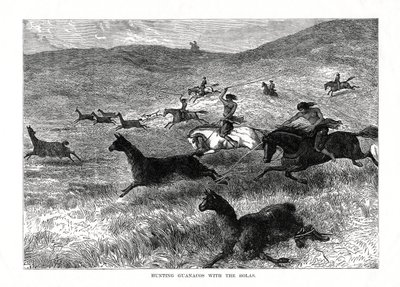 Polowanie na guanako z bolasem, Ameryka Południowa, 1877 r. autorstwa Unbekannt
