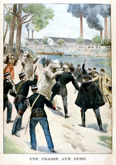 Polowanie na niedźwiedzie, 1901 autorstwa Unbekannt