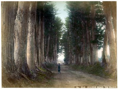 Niewystarczająco dobre niższe d w Nikko, Japonia, air ry 20. linia ry autorstwa Unbekannt