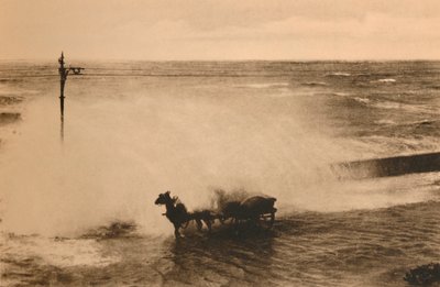 Na fali, c1928 autorstwa Unbekannt