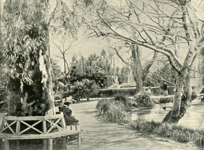 W Ogrodzie Botanicznym, Adelajda, 1901. autorstwa Unbekannt
