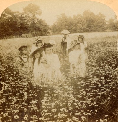 Na polu Daisy: Sweet Flowret z wiejskiej polany, 1896. autorstwa Unbekannt