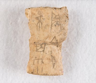 Wpisany fragment kości kości wyroczni, późna dynastia Shang, ca. 1300-1050 p.n.e. autorstwa Unbekannt