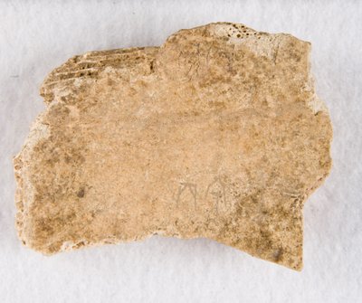 Wpisany fragment kości kości wyroczni, późna dynastia Shang, ca. 1300-1050 p.n.e. autorstwa Unbekannt
