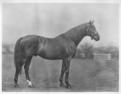Wnęka Isinglass, 1890-1911, 1911 autorstwa Unbekannt