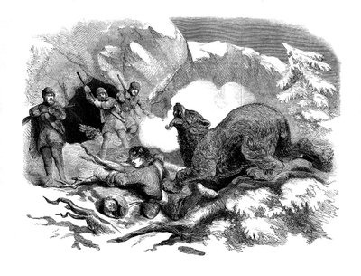 Jack Curlings wąska ucieczka przed dzikim niedźwiedziem, 1855 autorstwa Unbekannt