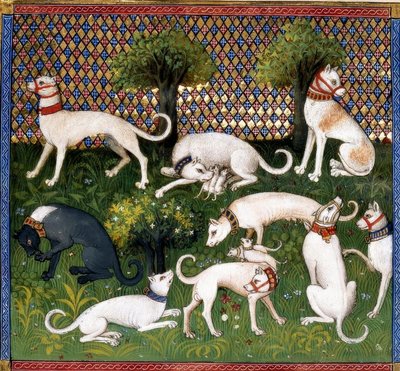 Jagdhunde (Alan) / Księga łowów autorstwa Unbekannt