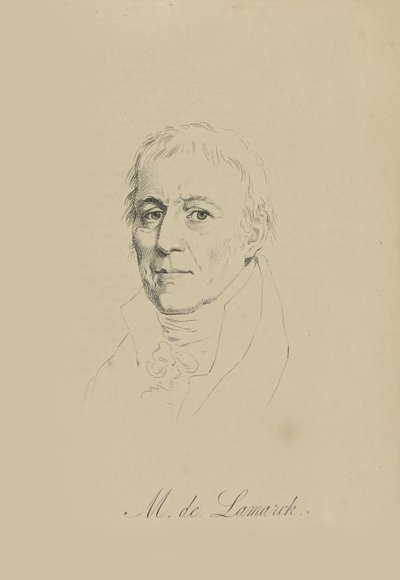 Jean-Baptiste Pierre Antoine de Monet, Chevalier de Lamarck 1744-1829, ok. 1930 r. 1810. autorstwa Unbekannt