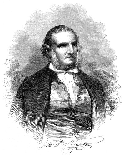 John James Audubon 1780-1851, amerykański ornitolog i artysta, 1852 autorstwa Unbekannt