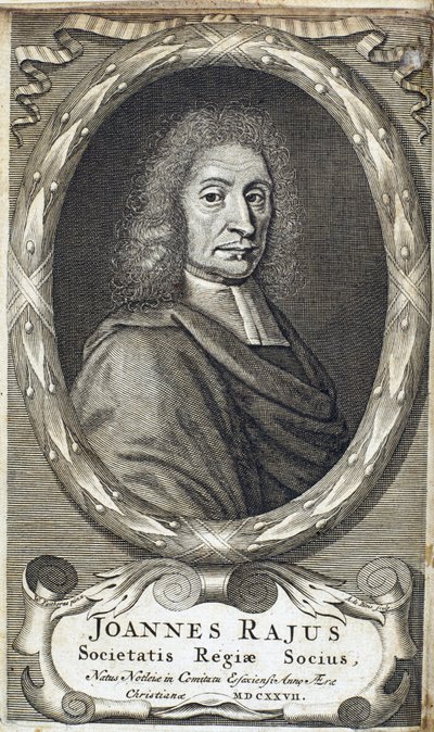 John Ray (Wray), angielski przyrodnik, ok. 1700 autorstwa Unbekannt