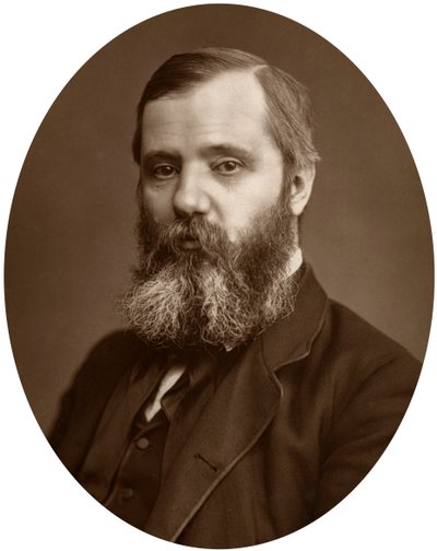 Joseph Cowen, poseł do parlamentu, 1881 r. autorstwa Unbekannt