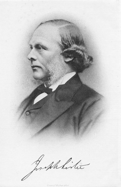 Joseph Lister, angielski chirurg i pionier chirurgii antyseptycznej, ok. 1877 r. autorstwa Unbekannt