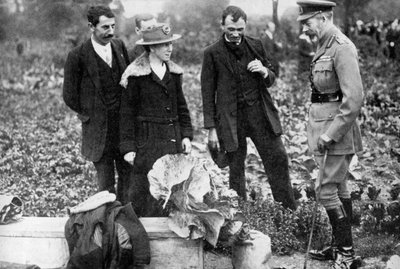 Król Jerzy V podziwia ogródki działkowe na Clapham Common, Londyn, c1910-c1920 1936 autorstwa Unbekannt