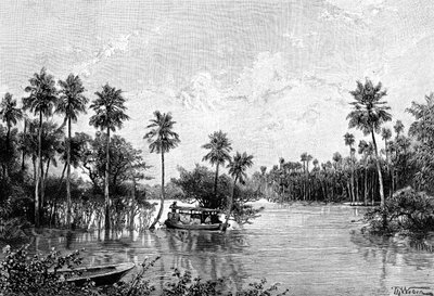 Las Palmes Lagunas, w pobliżu ujścia Pilcomayo, 1895 autorstwa Unbekannt