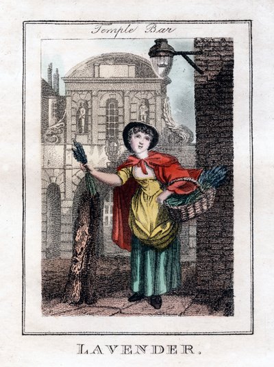 Lawenda, Temple Bar, Londyn, 1805 autorstwa Unbekannt