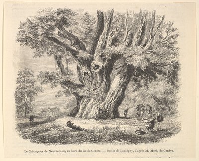 Kasztanowiec w Neuve-Celle, nad brzegiem Jeziora Genewskiego, według Daubigny, 1835-78. autorstwa Unbekannt