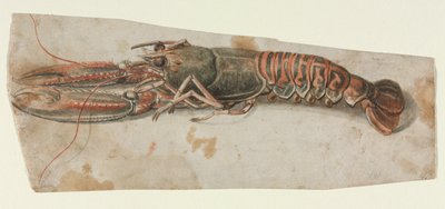 Homar, 1600s. autorstwa Unbekannt