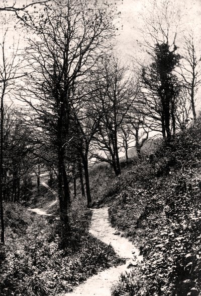 Lovers Lane, Fairlight, Hastings, Sussex autorstwa Unbekannt