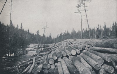 Tartak, 1924 autorstwa Unbekannt