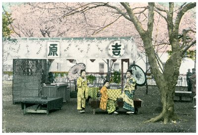 Stojak na lunch w publicznym parku, Japonia, 1904 autorstwa Unbekannt