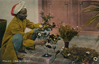 Malee. Ogrodnik, ok. 1910. autorstwa Unbekannt