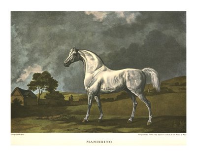 Mambrino, ok. 1779, ok. 1955. autorstwa Unbekannt