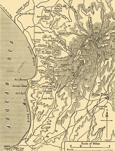 Mapa Sari Bair, półwysep Gallipoli, I wojna światowa, 1915, c1920. autorstwa Unbekannt